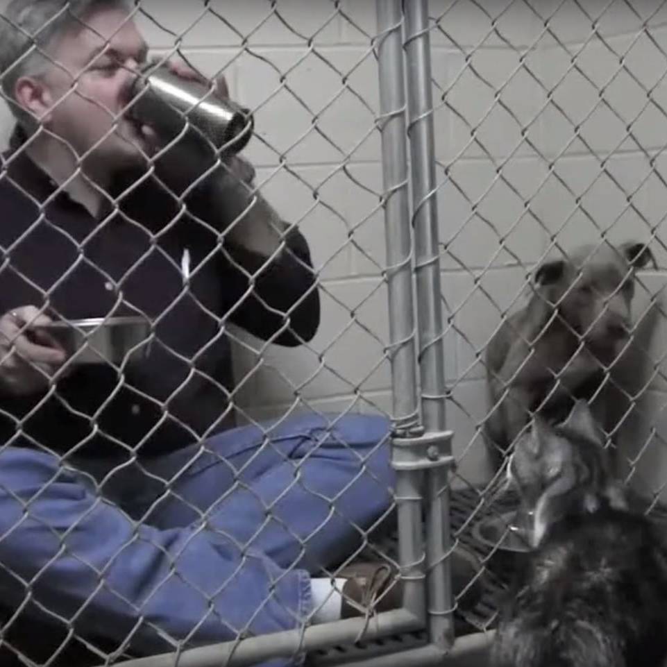 un uomo all'interno di una gabbia di un canile con un cane