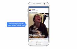 screen della pagina facebook The Dodo: concept per Video per Facebook - audio attivo sui dispositivi mobile