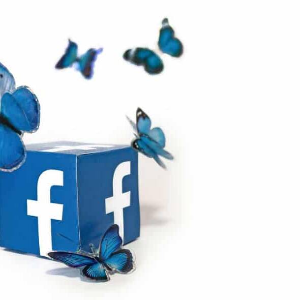 Competenze digitali a Binario F from Facebook: nell'immagine alcune farfalle escono da una scatola con il logo del social network